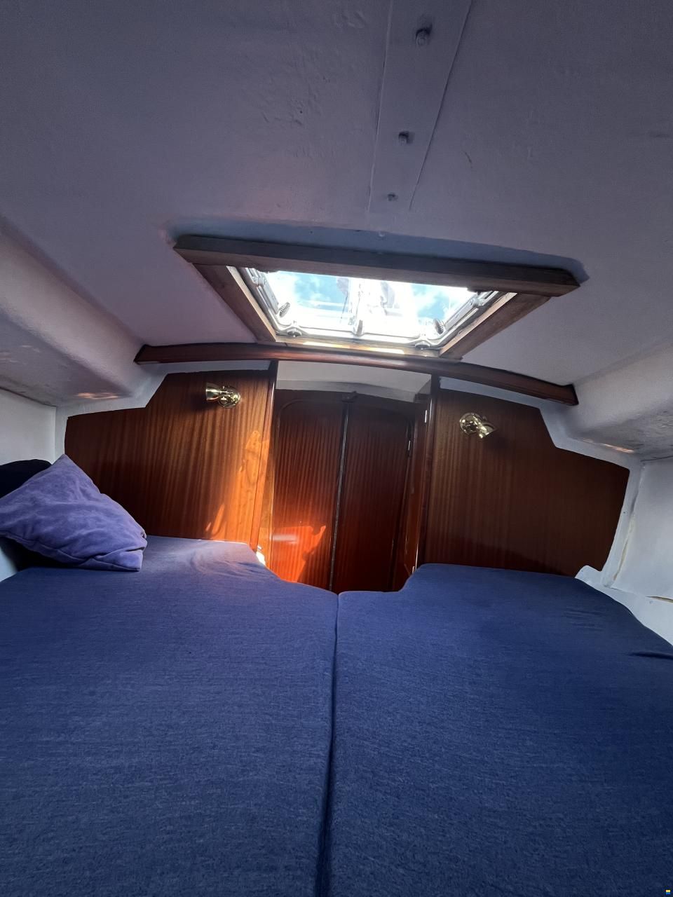 Scampi 30