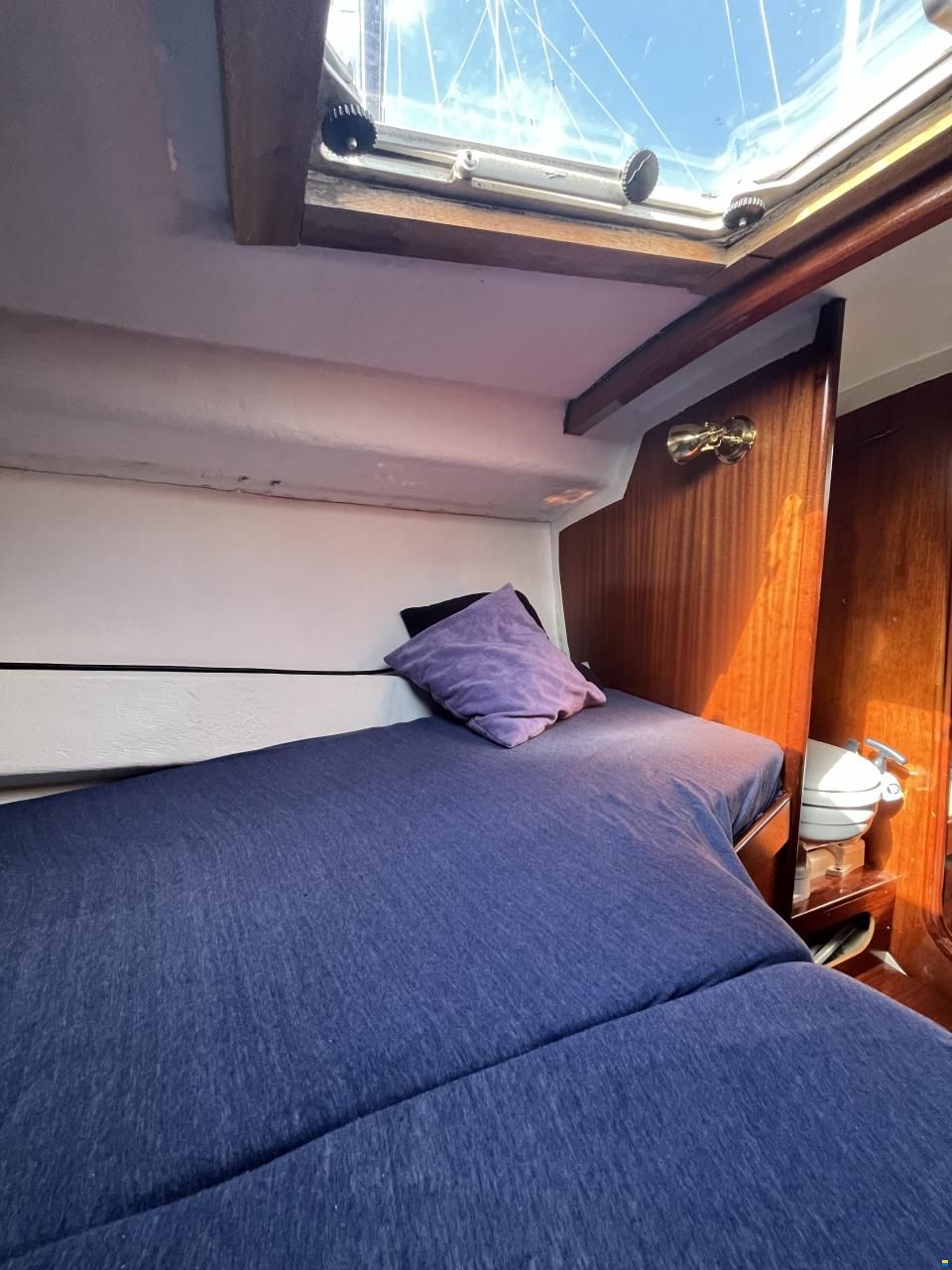 Scampi 30