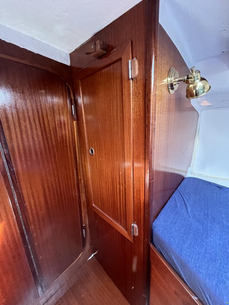 Scampi 30