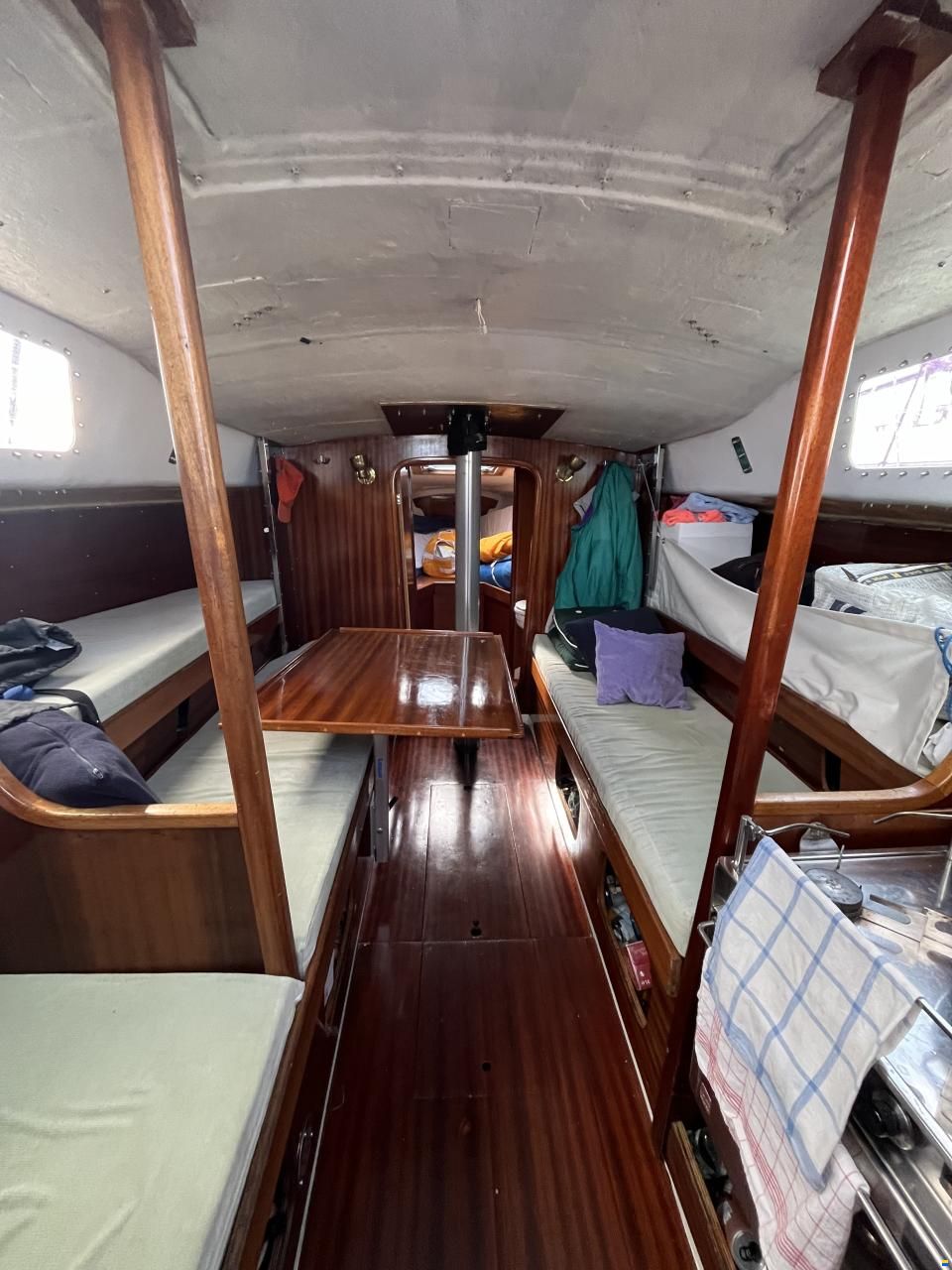 Scampi 30