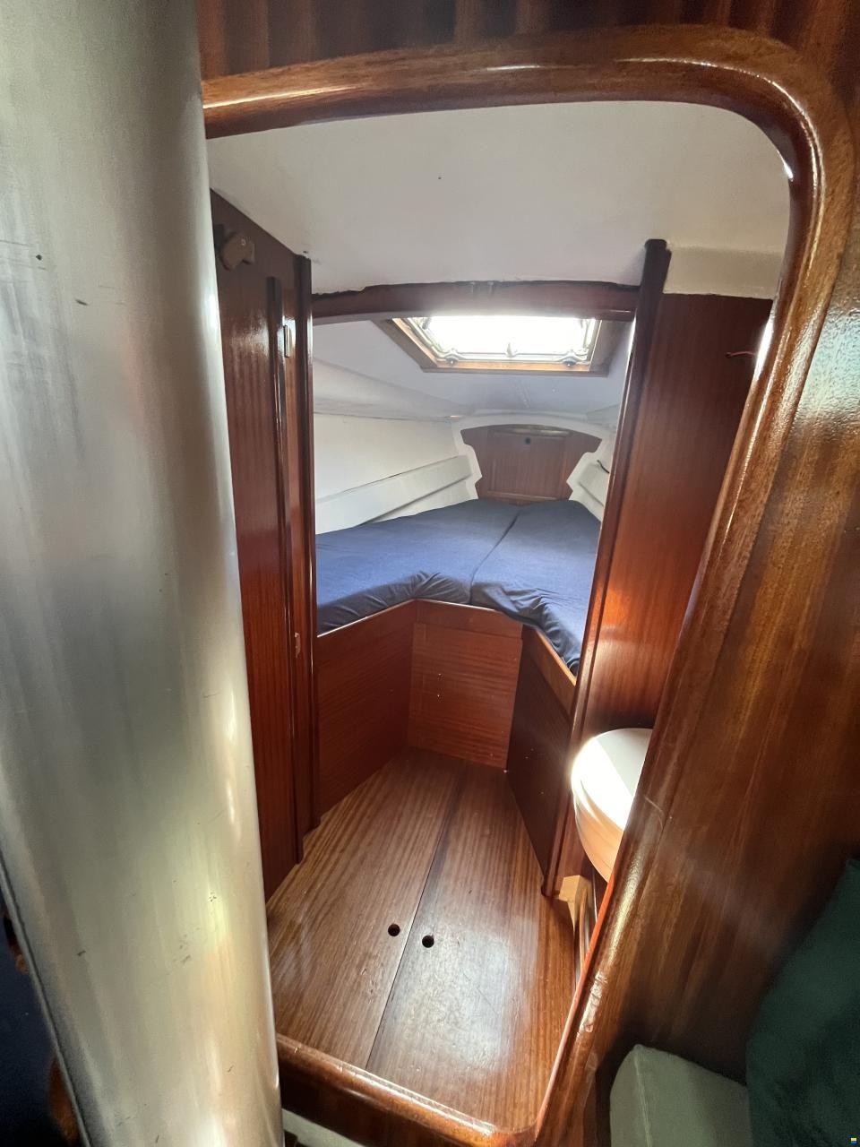 Scampi 30