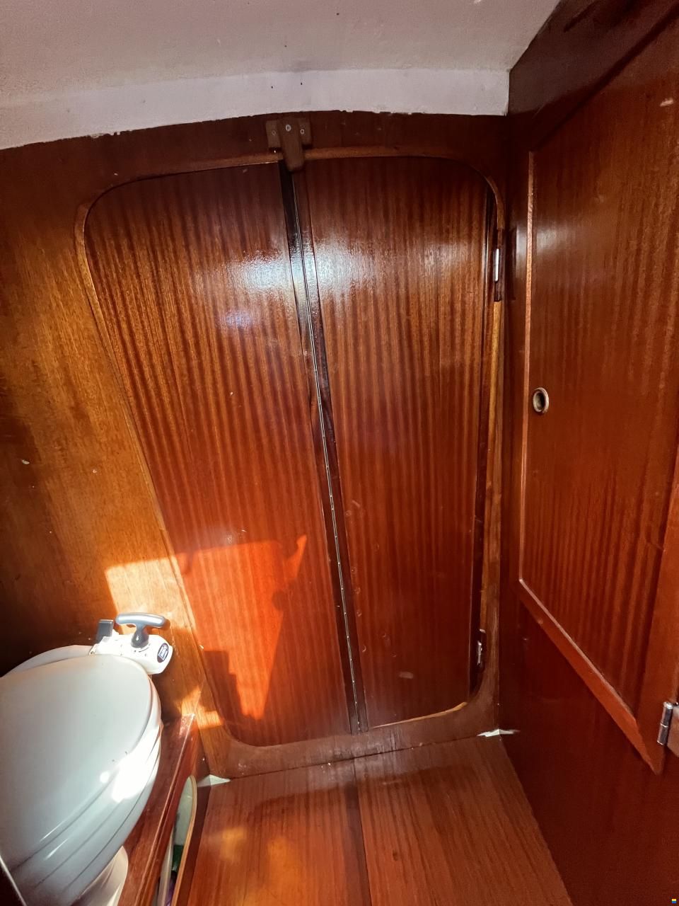 Scampi 30