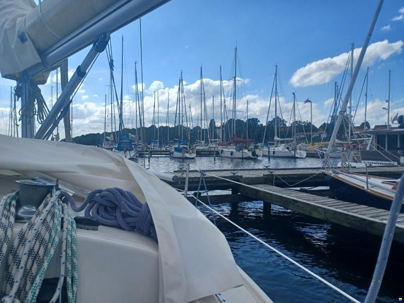 Maxi Fenix 28