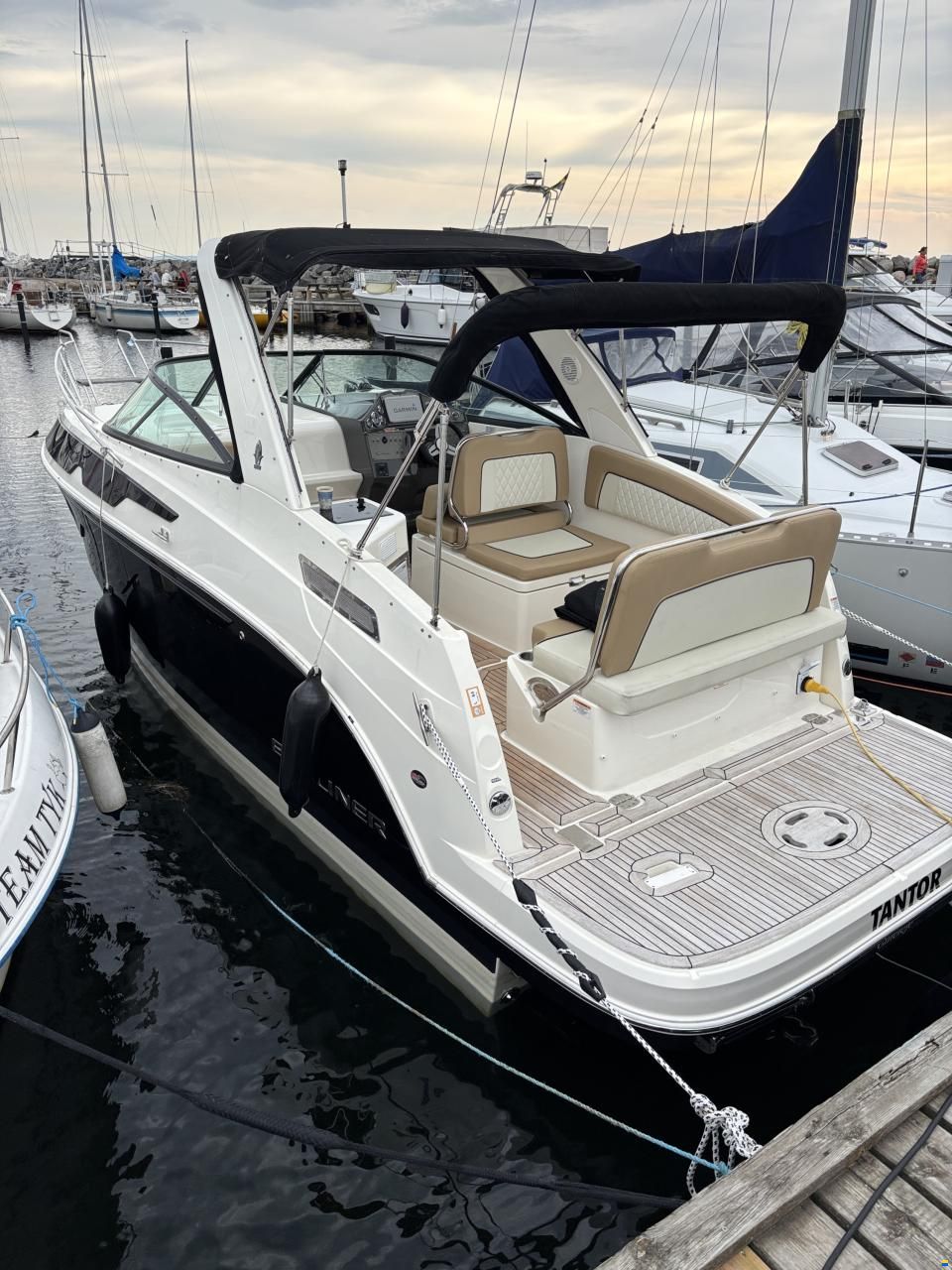 Bayliner Ciera 8