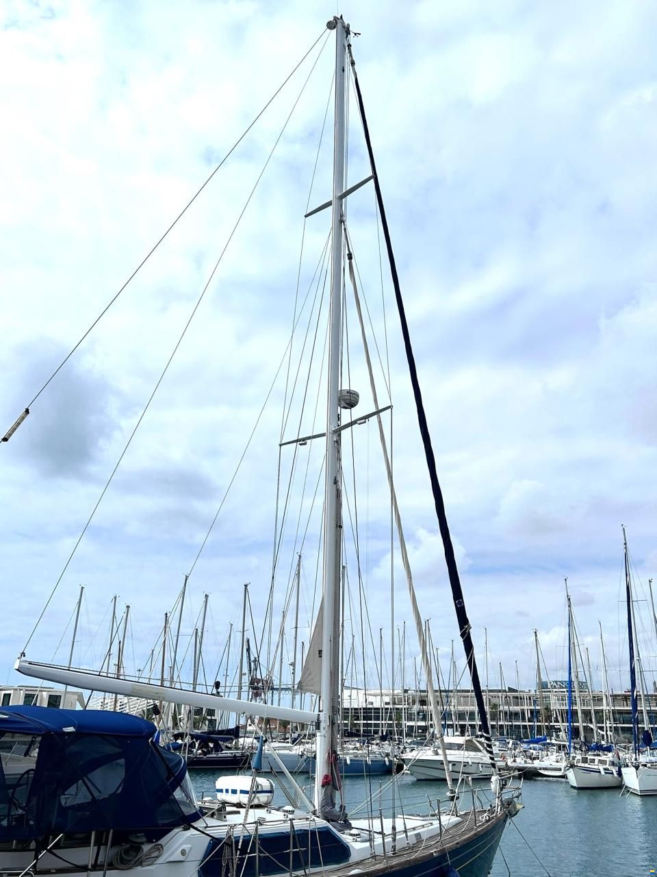 North Wind 47