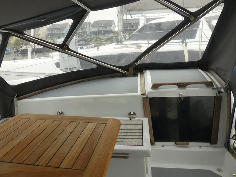 Rhebergen Havkat 31