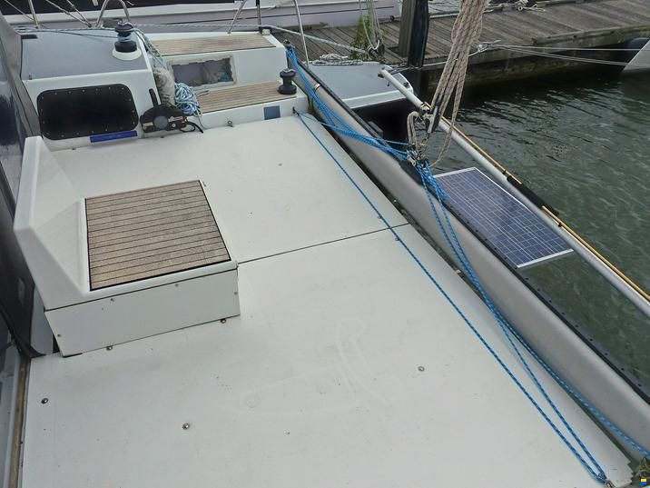 Rhebergen Havkat 31