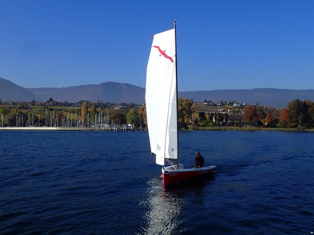 Finot Conq Albatros 430