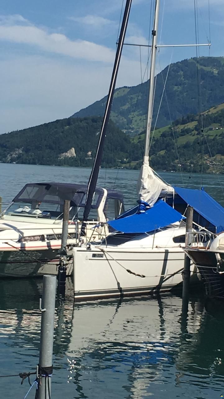 Dehler 32