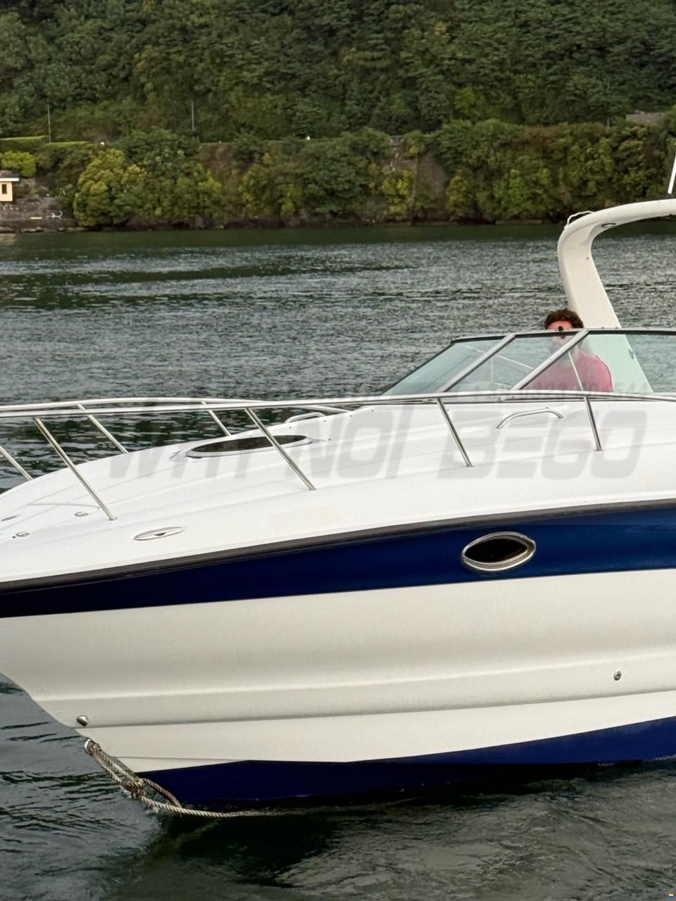 Crownline 270 CR