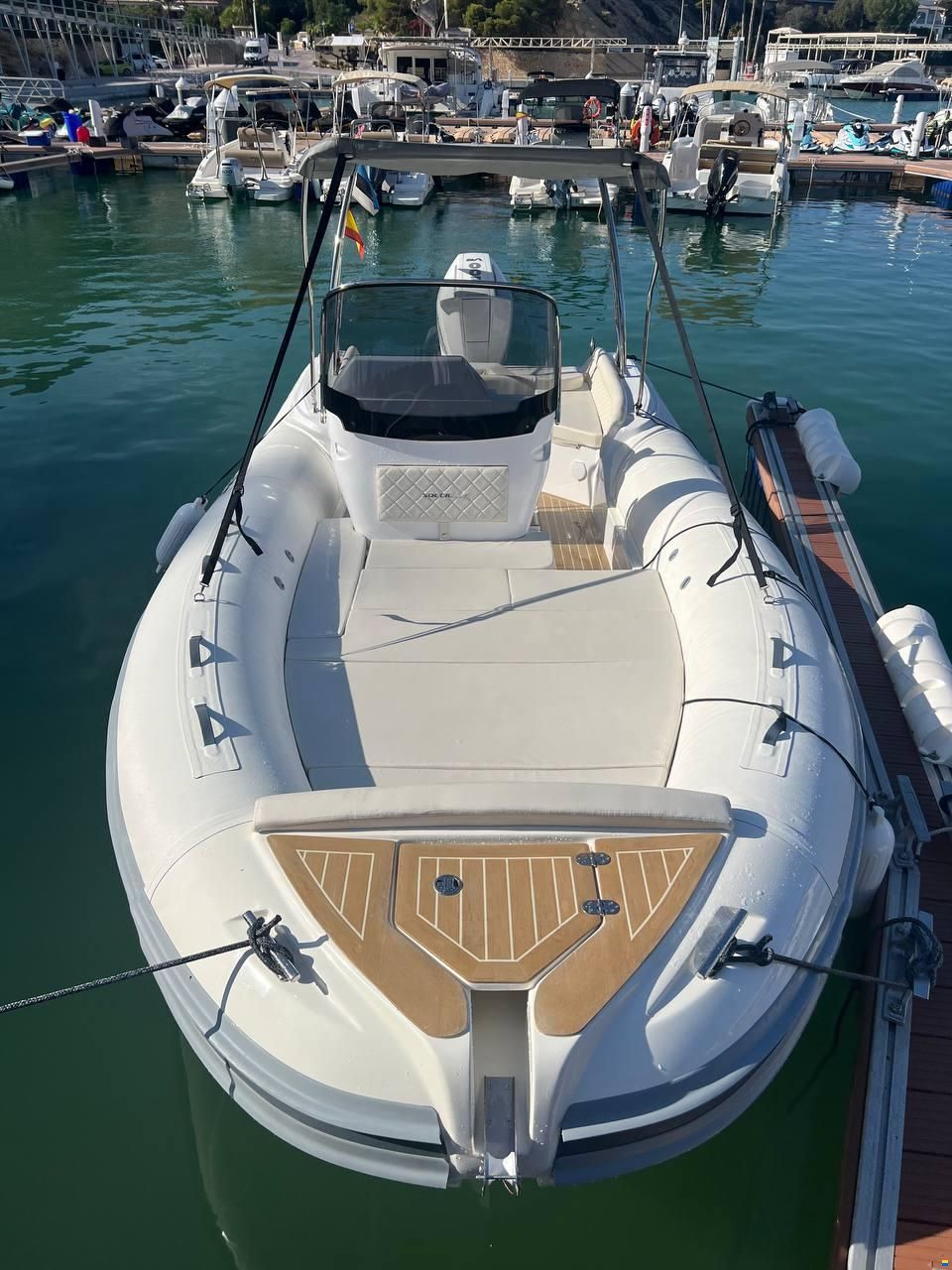 Salpa Soleil 23