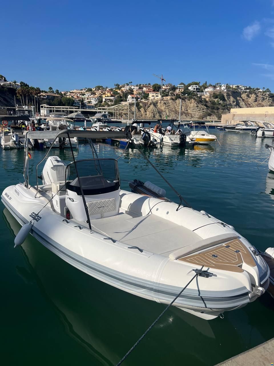 Salpa Soleil 23