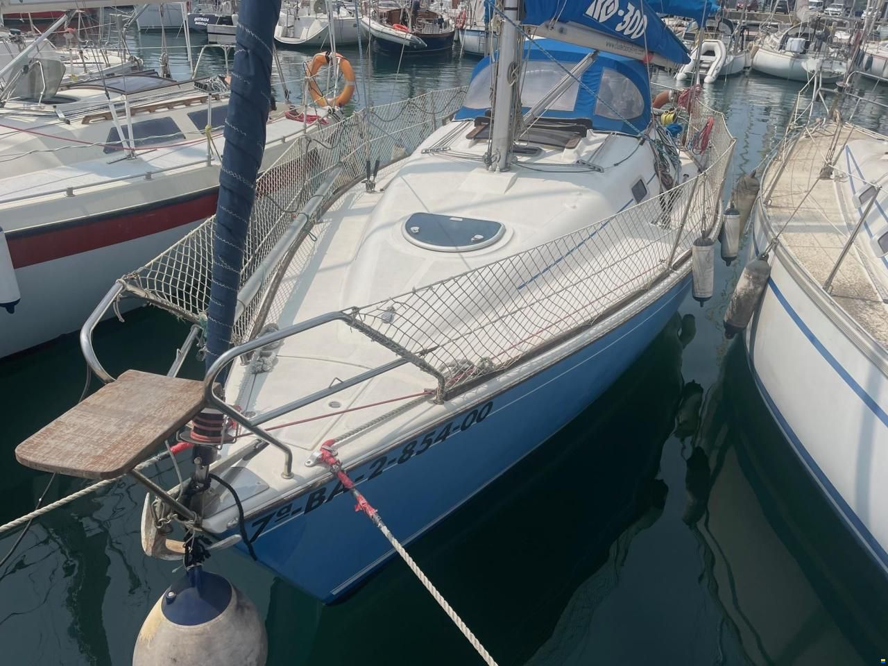 RO 300