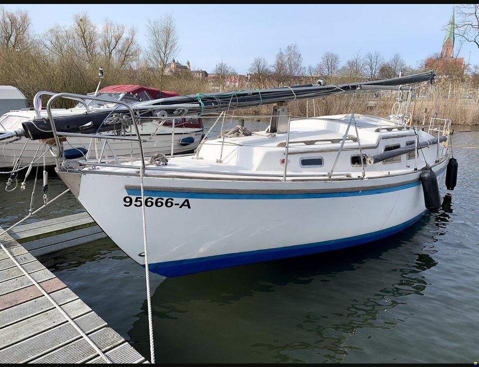 Fellowship 28