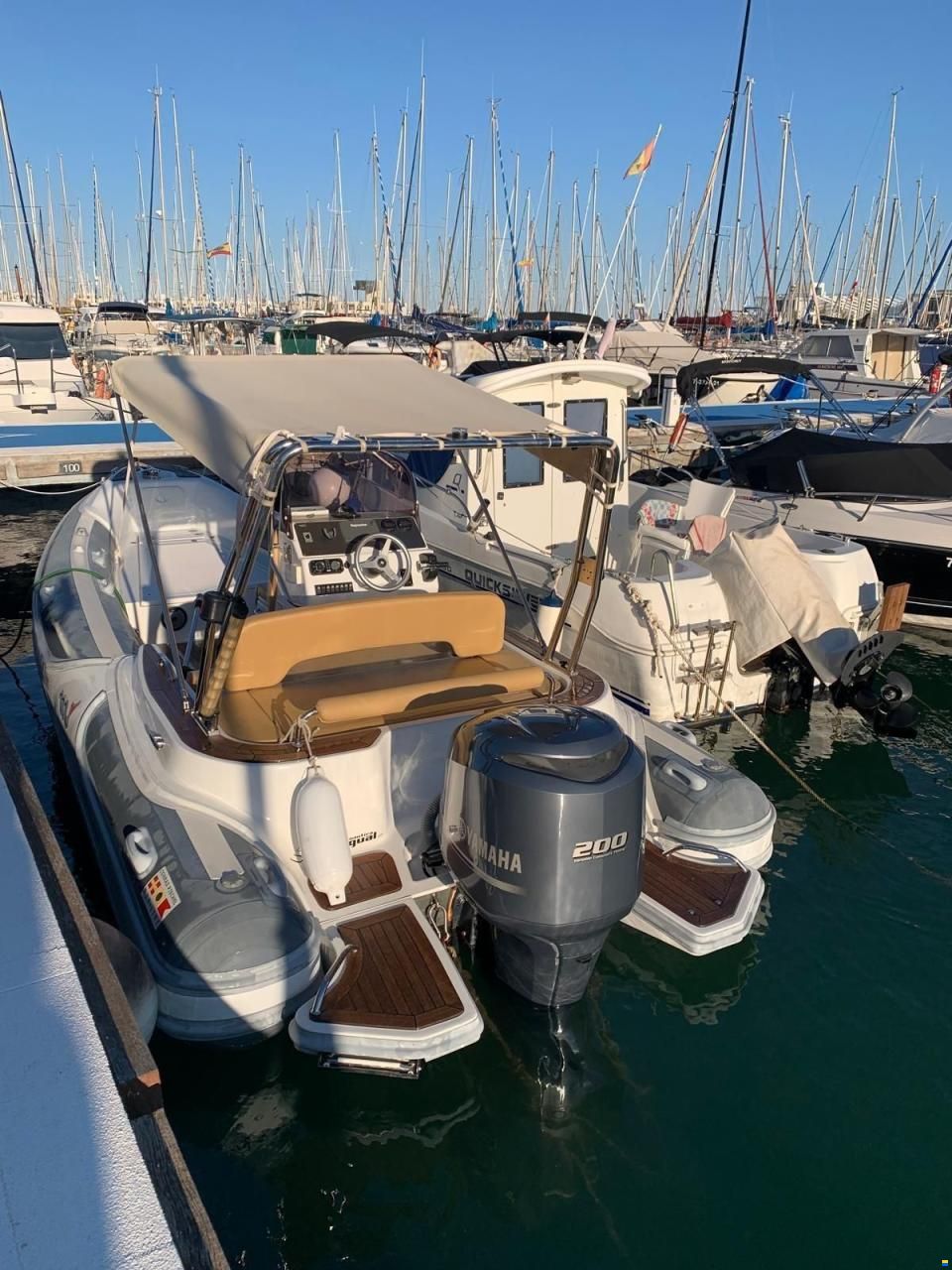 RIB 650