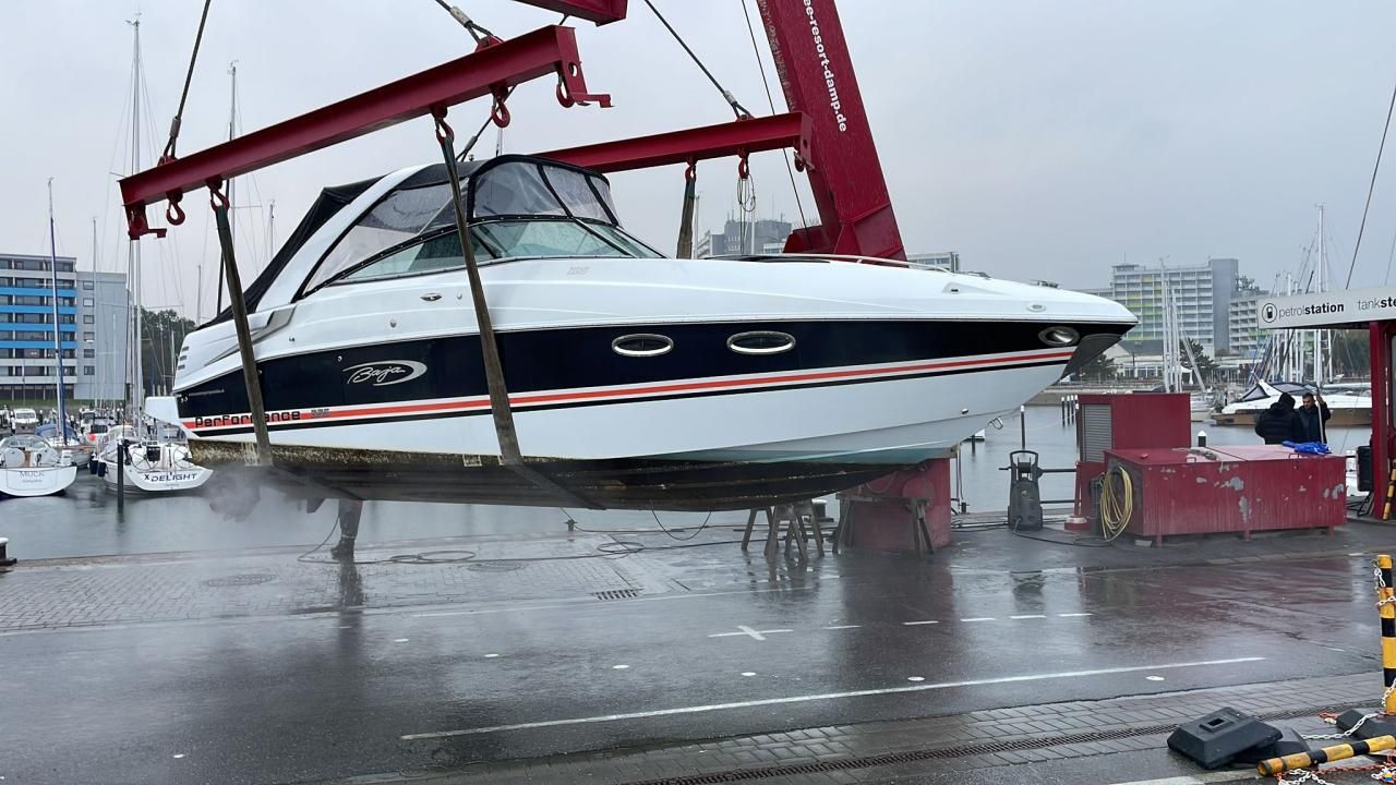 Baja Performance 335