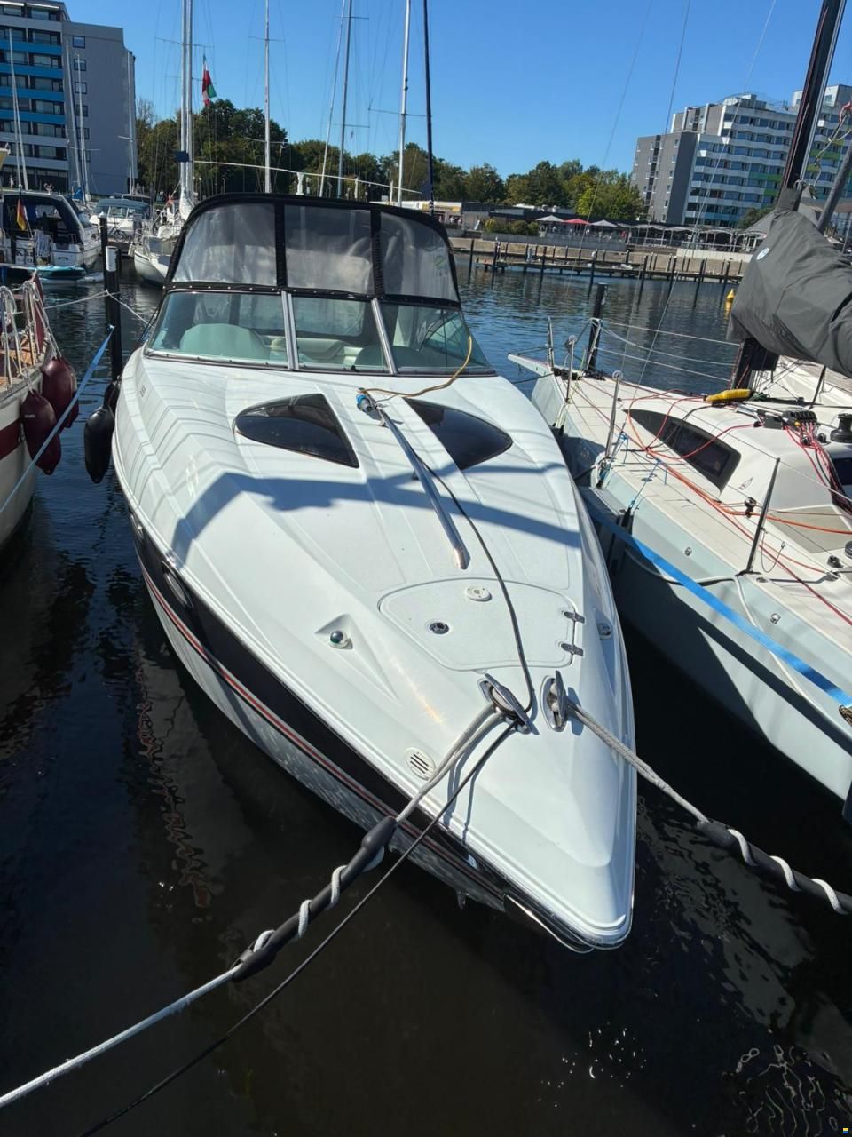 Baja Performance 335
