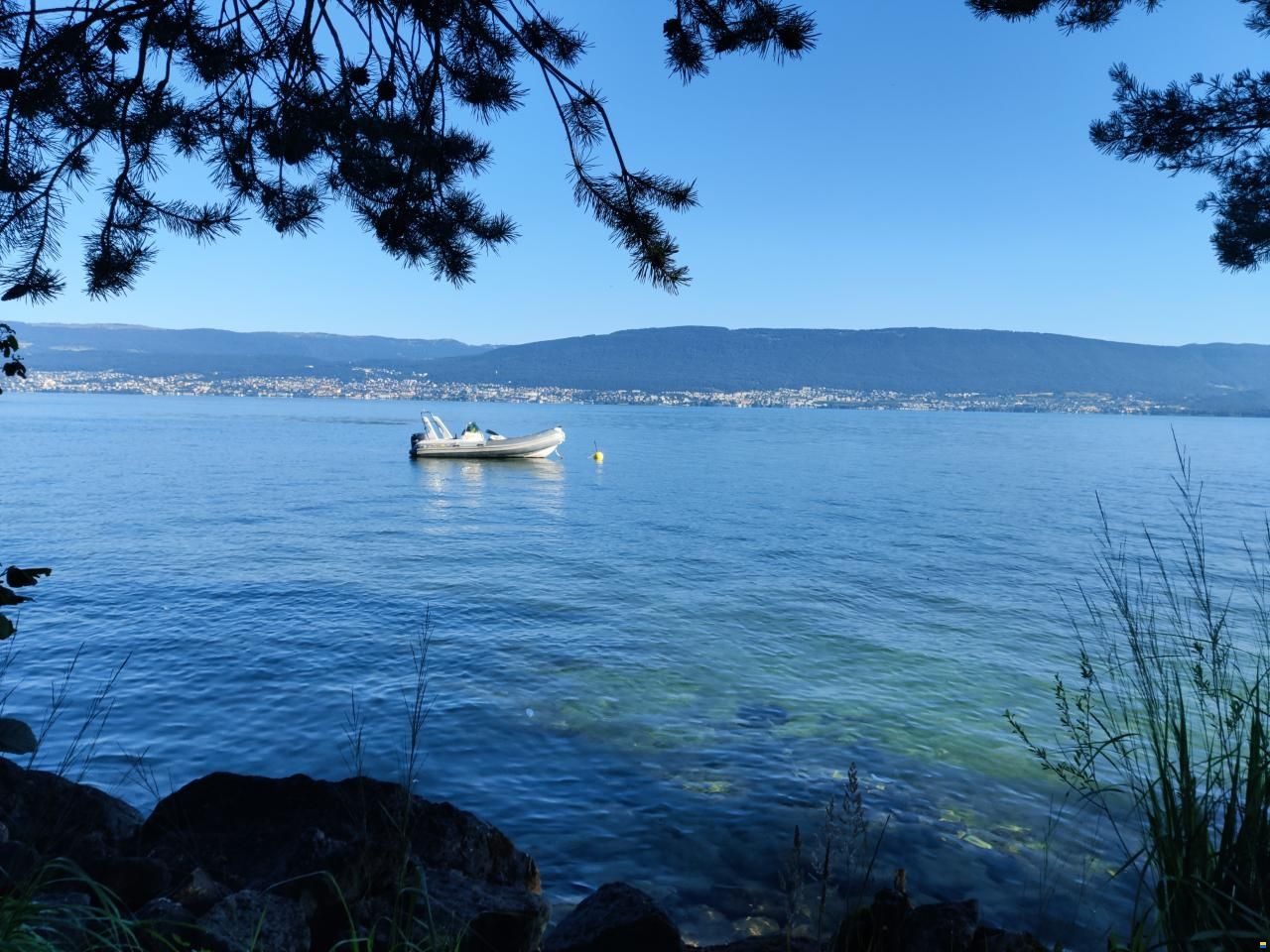 SACS S 530 - Jamaica