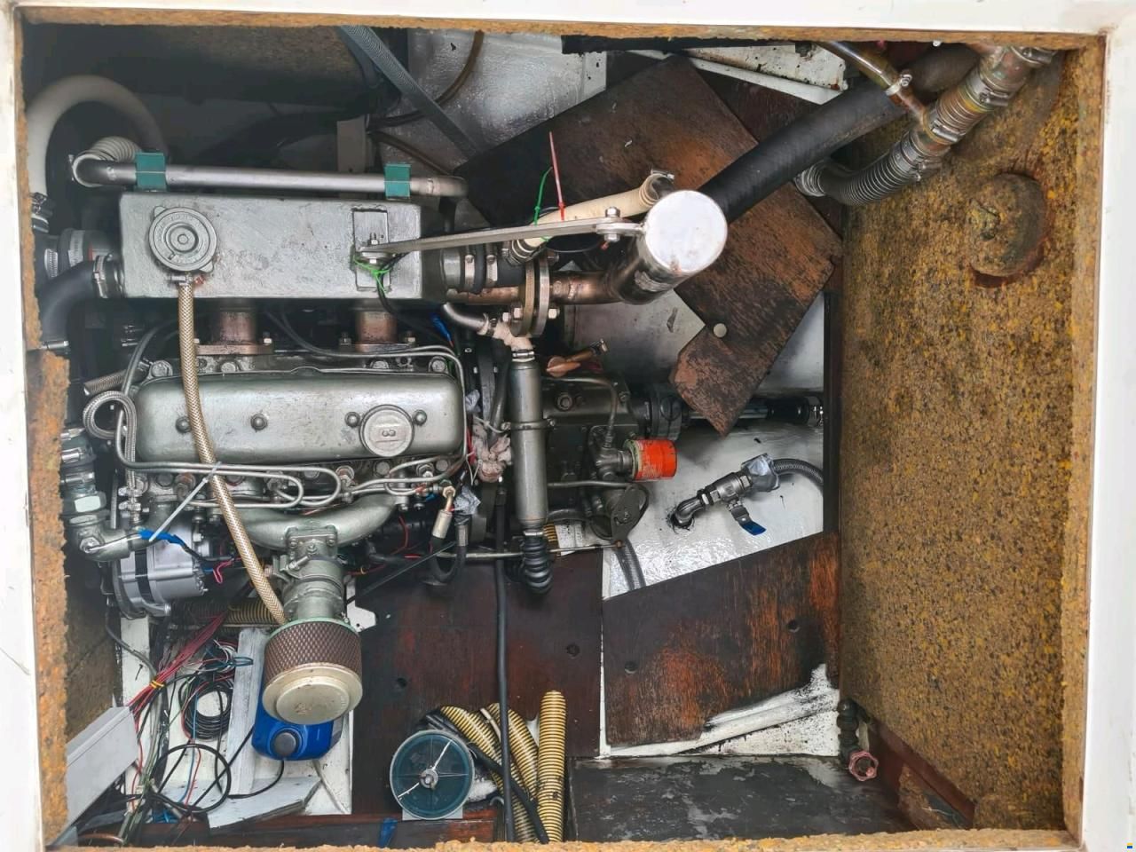 Lindinger Compass 31