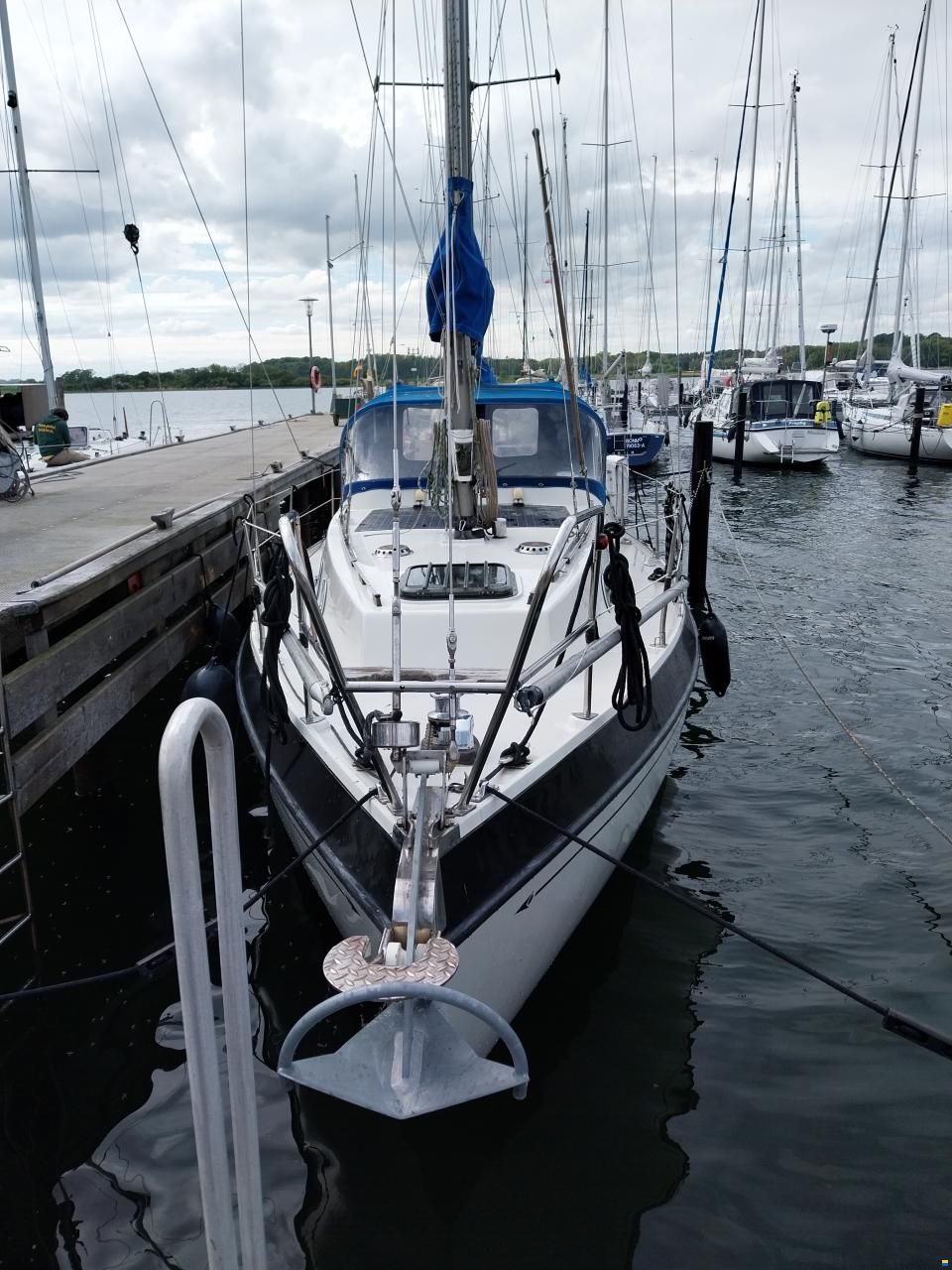Lindinger Compass 31