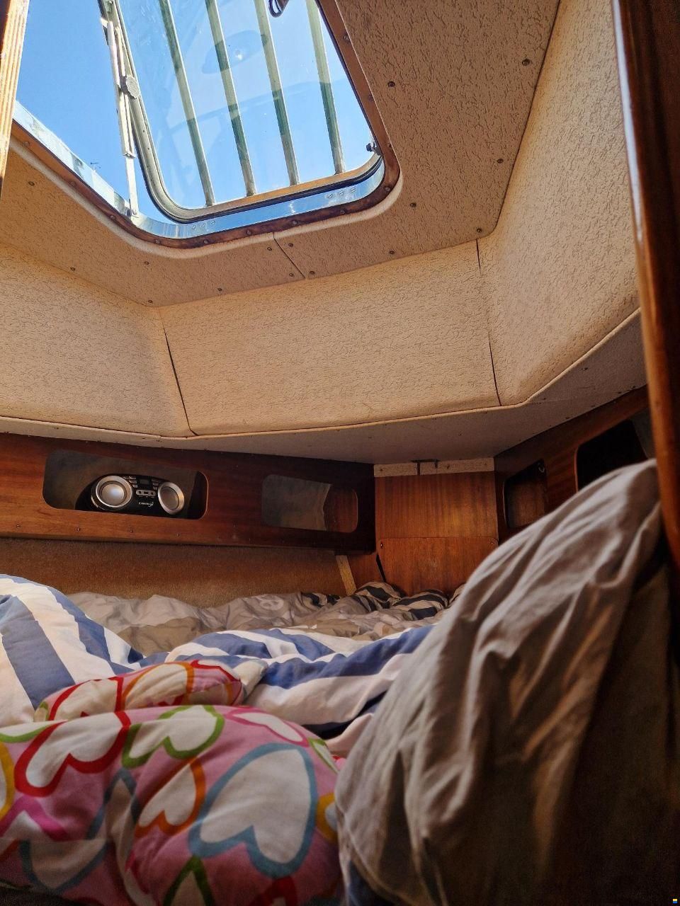 Lindinger Compass 31