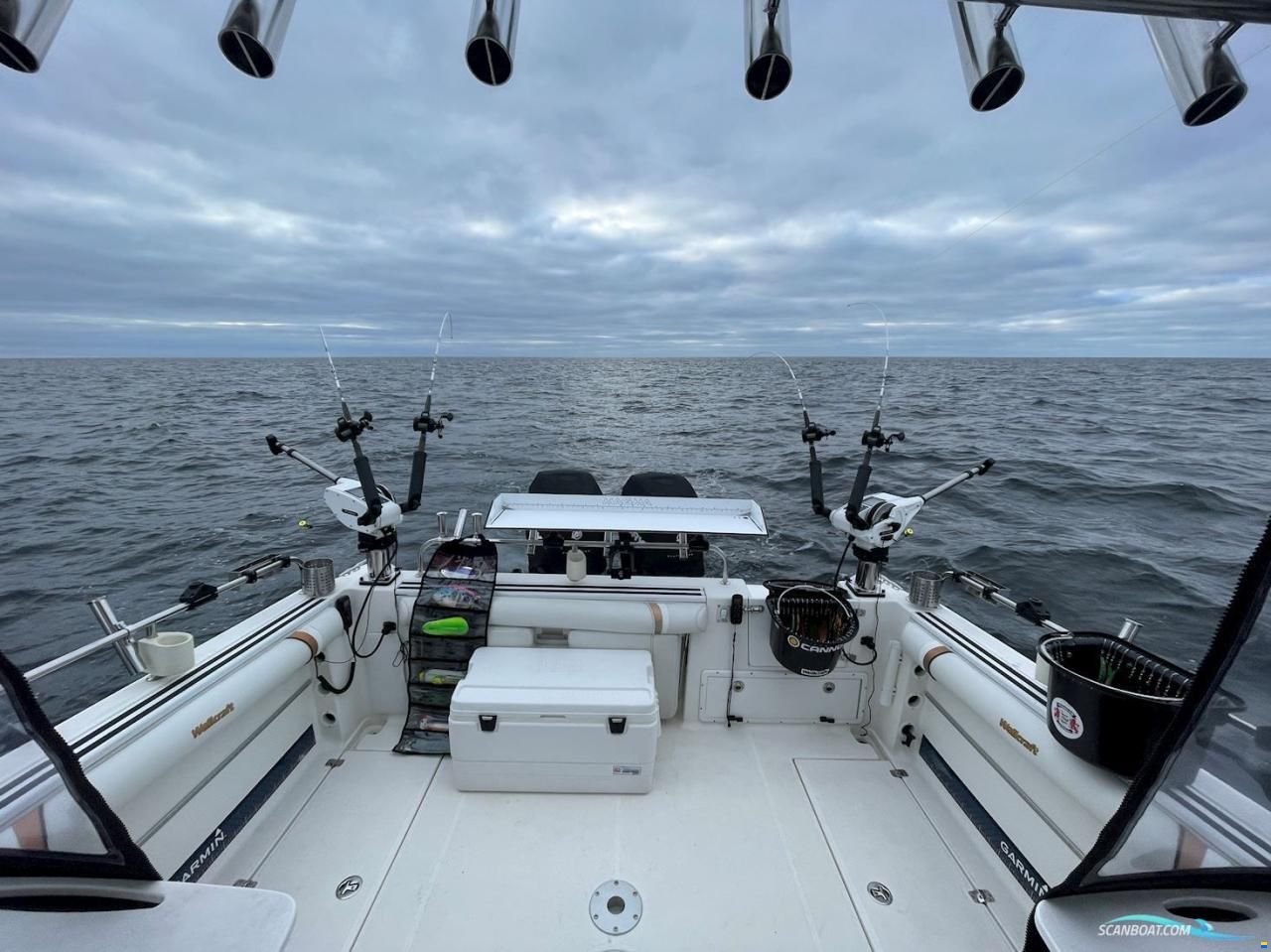 Wellcraft 290 coastal