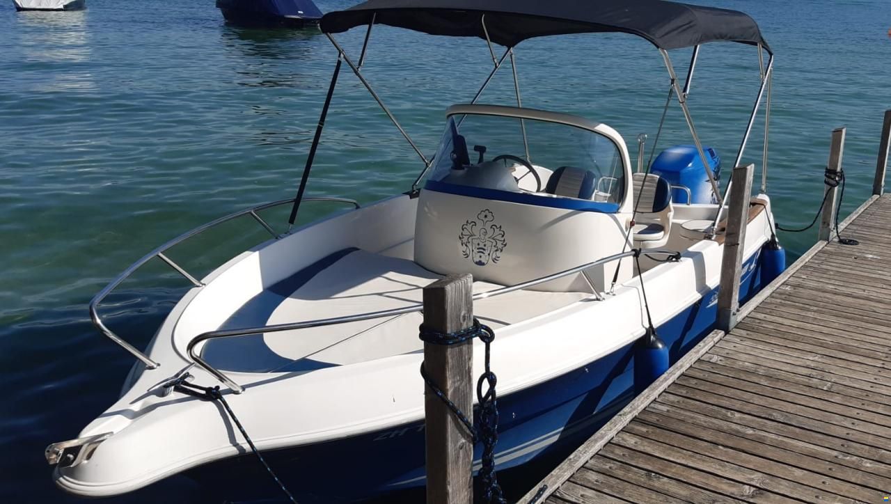 Quicksilver QS550 Commander