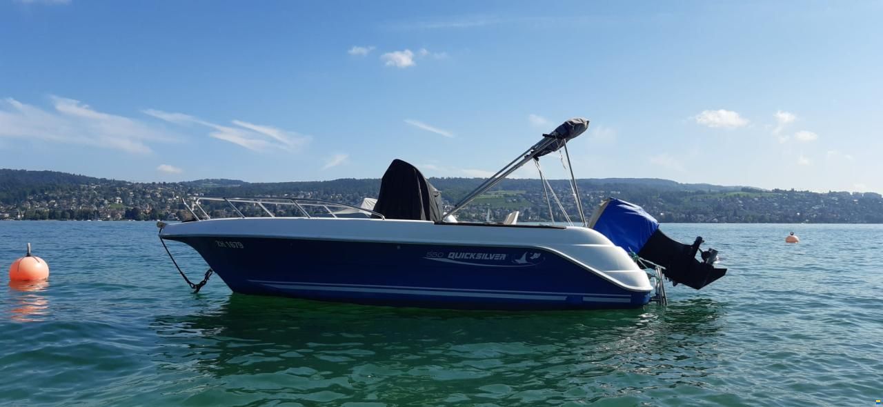 Quicksilver QS550 Commander