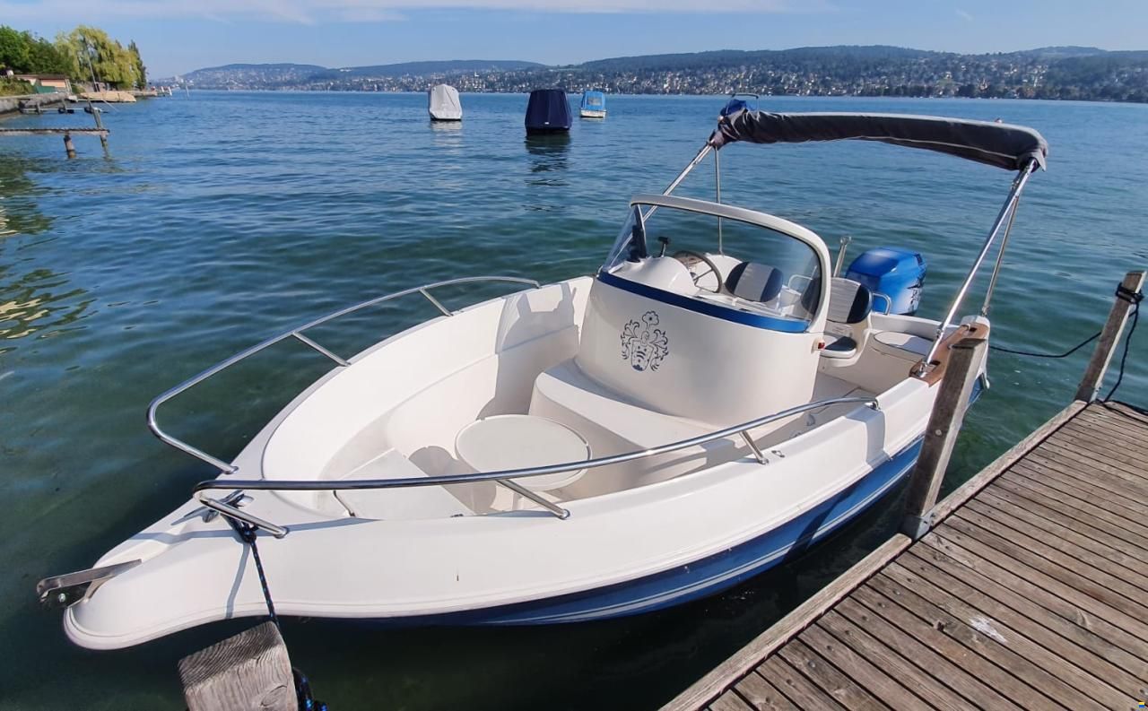 Quicksilver QS550 Commander