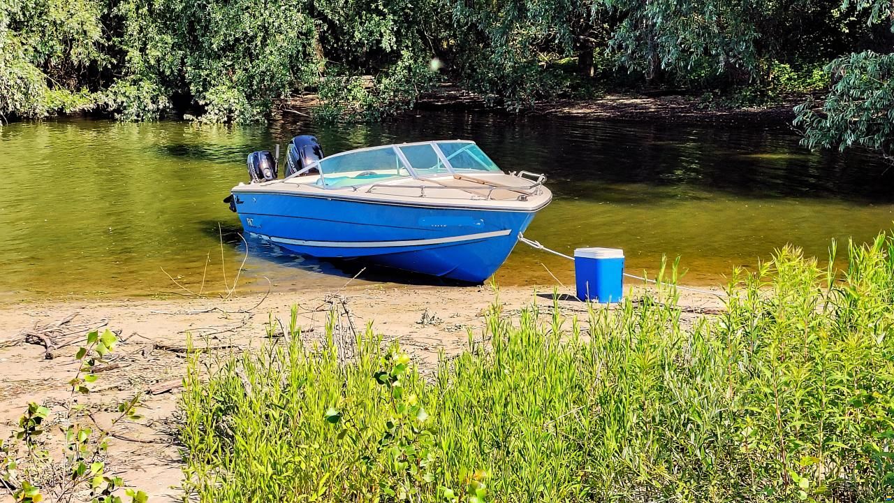 Almarine 485