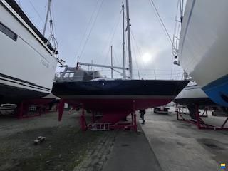 Forgus 31