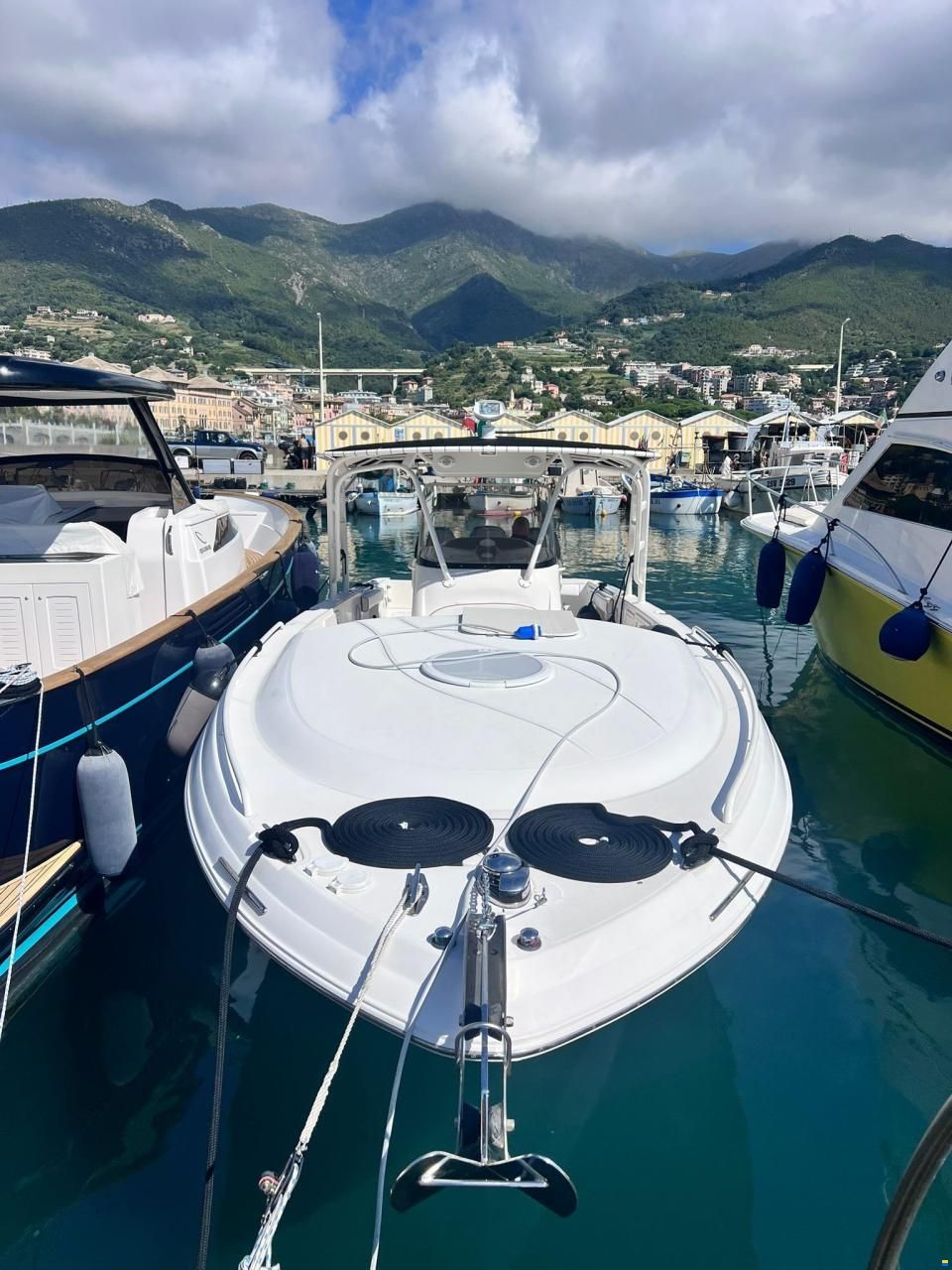 Wellcraft SCARAB 35 SPORT CUDDY