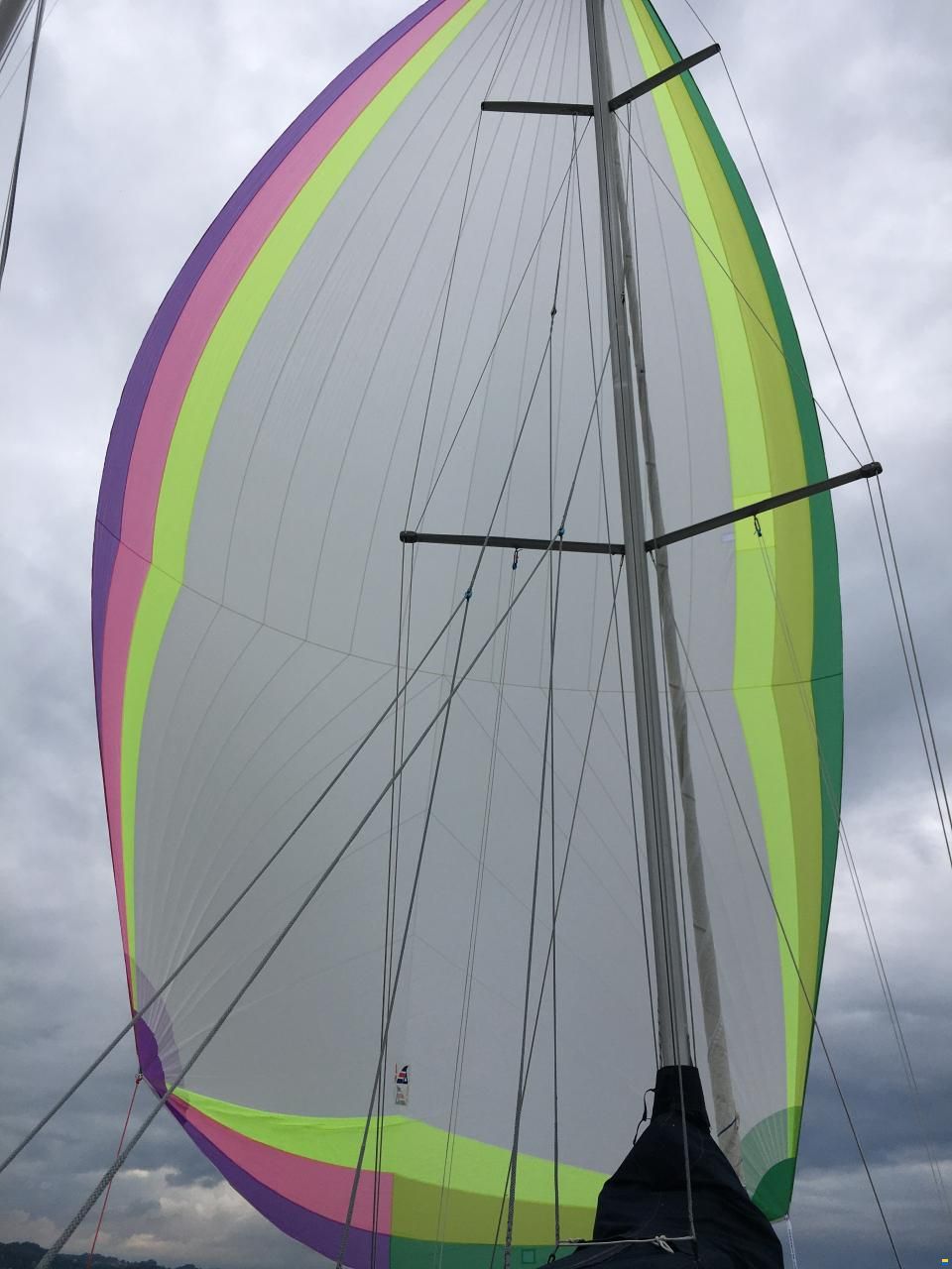 Winner (NL) Winner 950