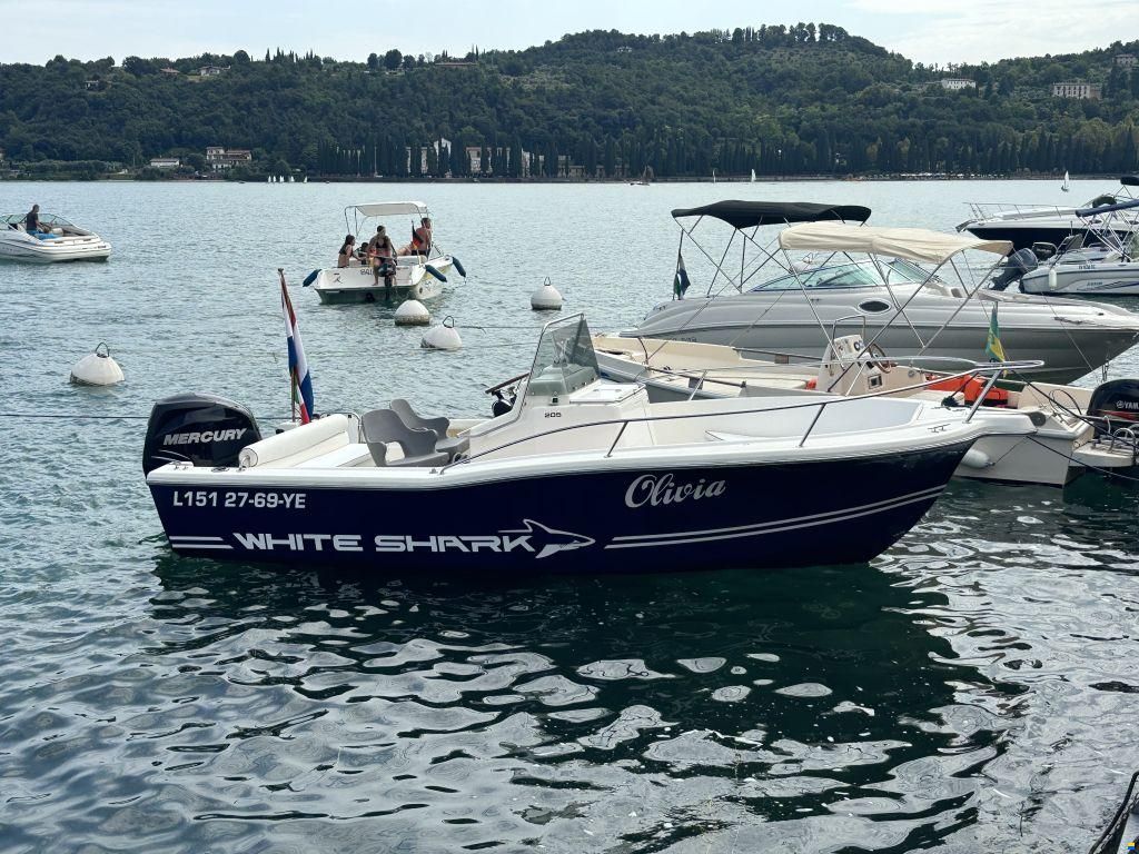 White Shark 205