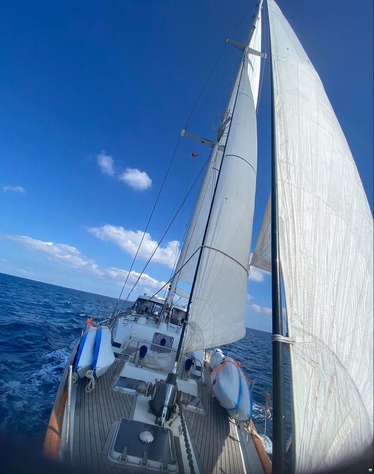 CIM Shipyard Ocean Voyager 82