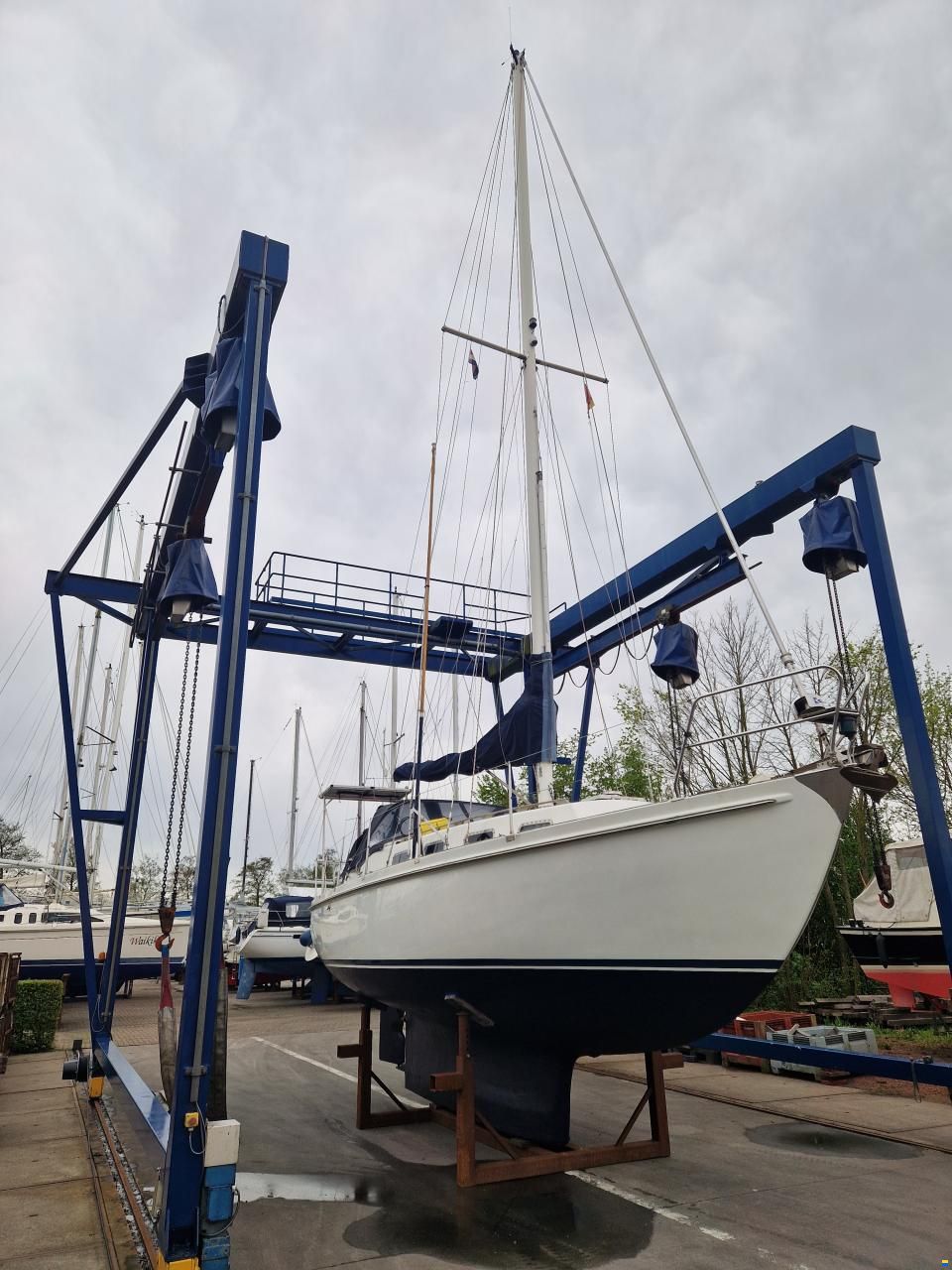 Fellowship 33 de Kloet