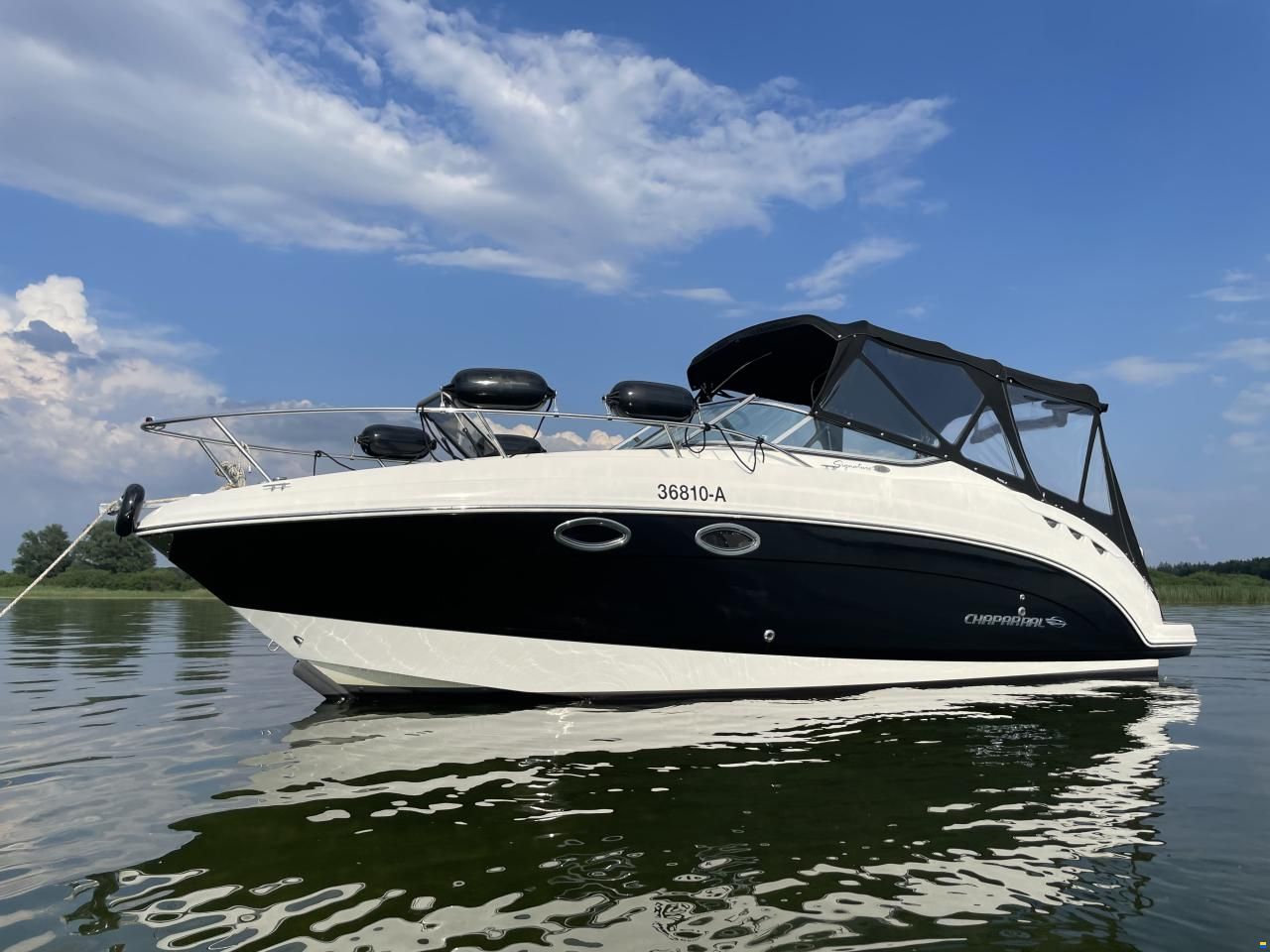 Chaparral Signature 250