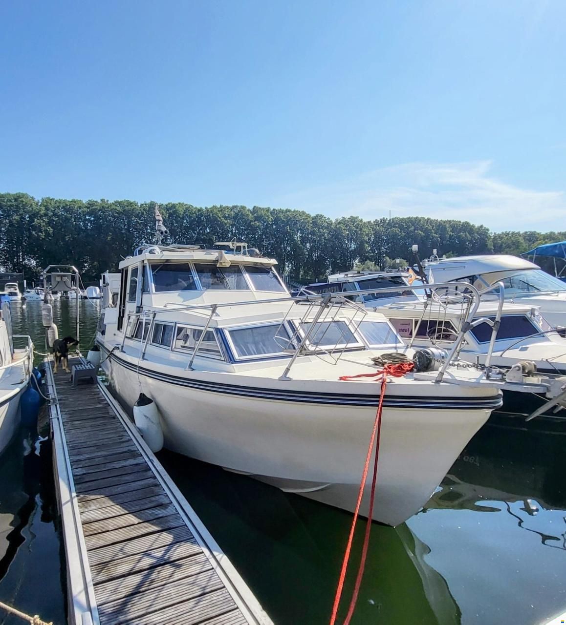 Birchwood 29 AK MIT 2 X BMW DIESEL