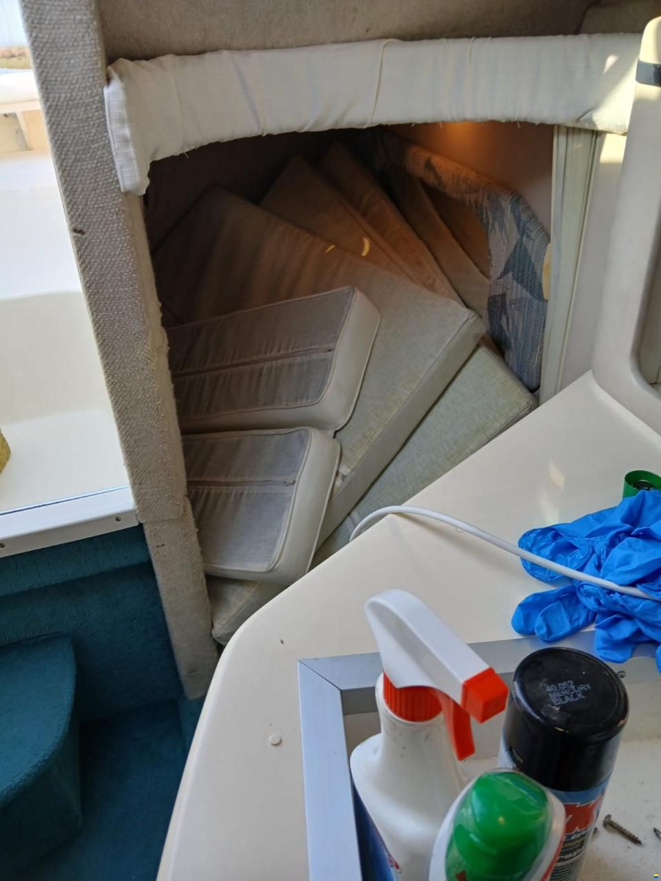 Sea Ray 250 Sundancer