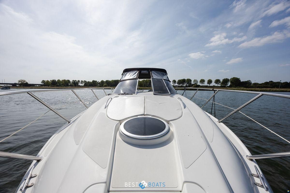 Sessa Oyster 34