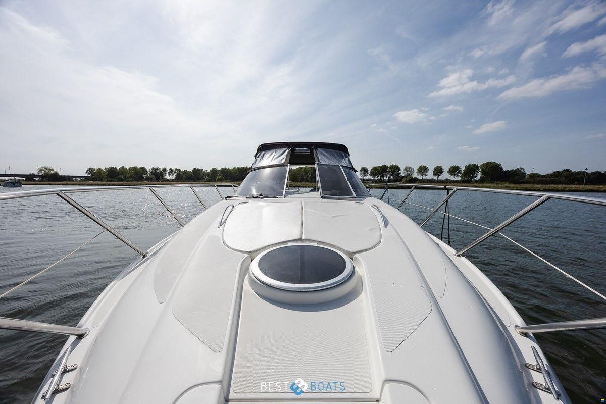 Sessa Oyster 34
