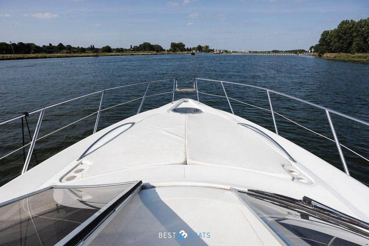 Sessa Oyster 34