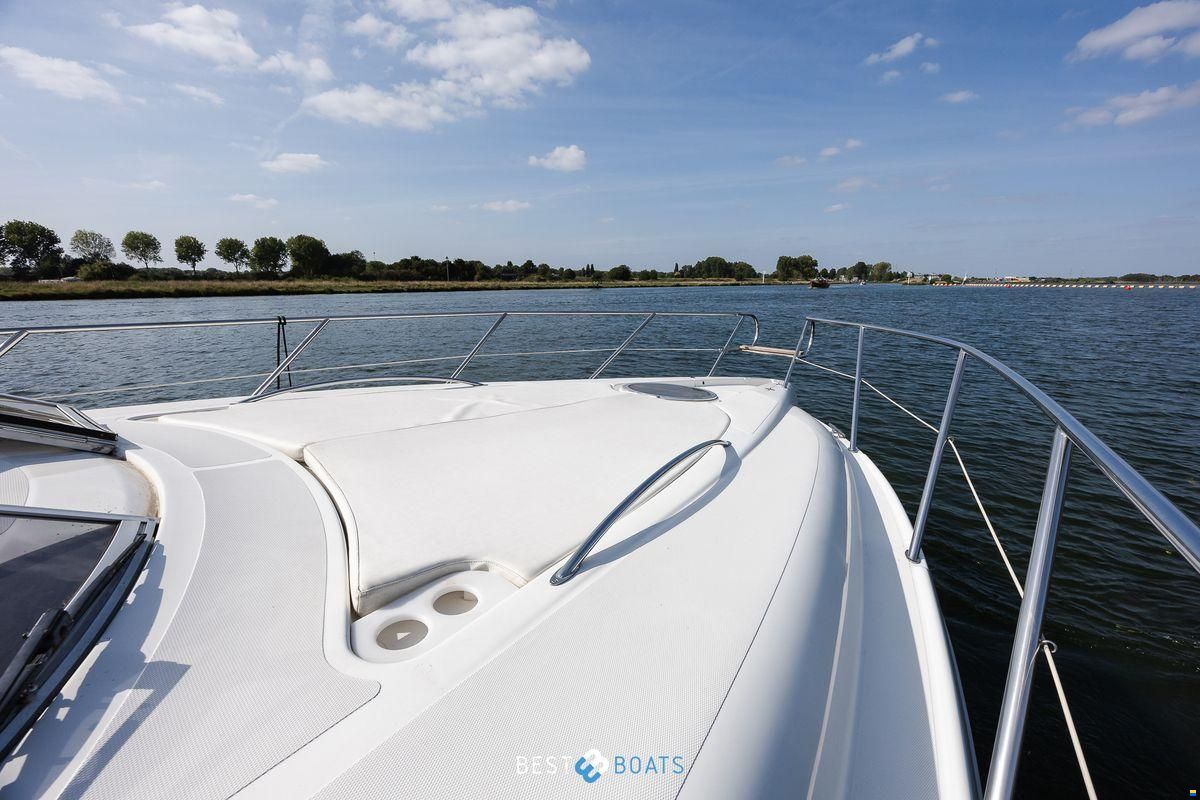 Sessa Oyster 34