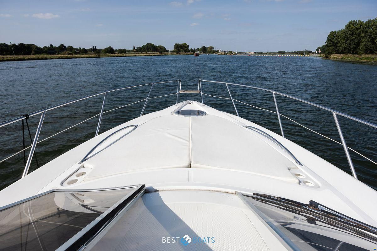 Sessa Oyster 34
