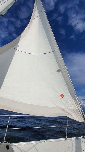 Bavaria 37 C