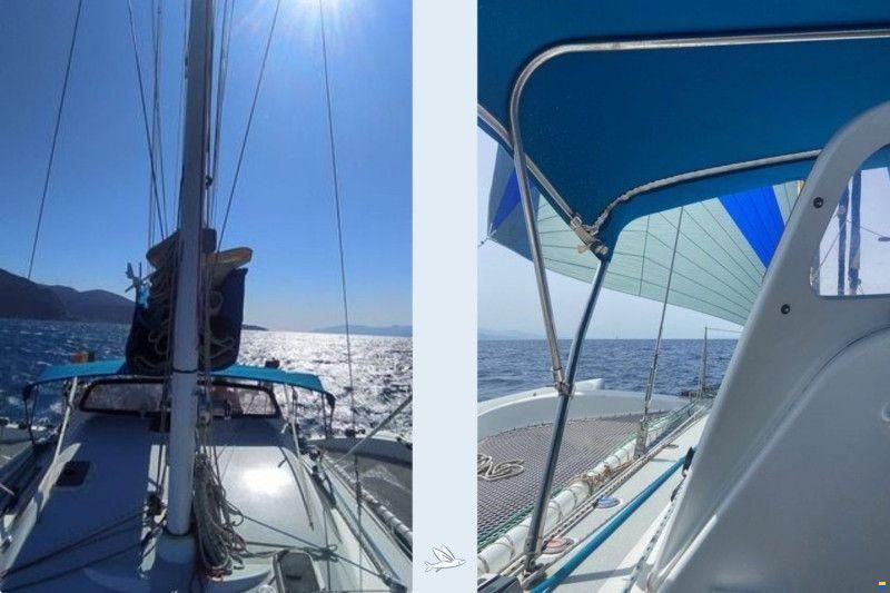 One Off Design Polynesie 42