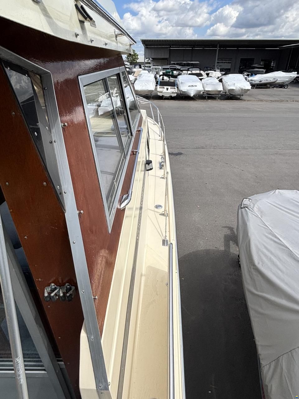 Adler Storebro 31