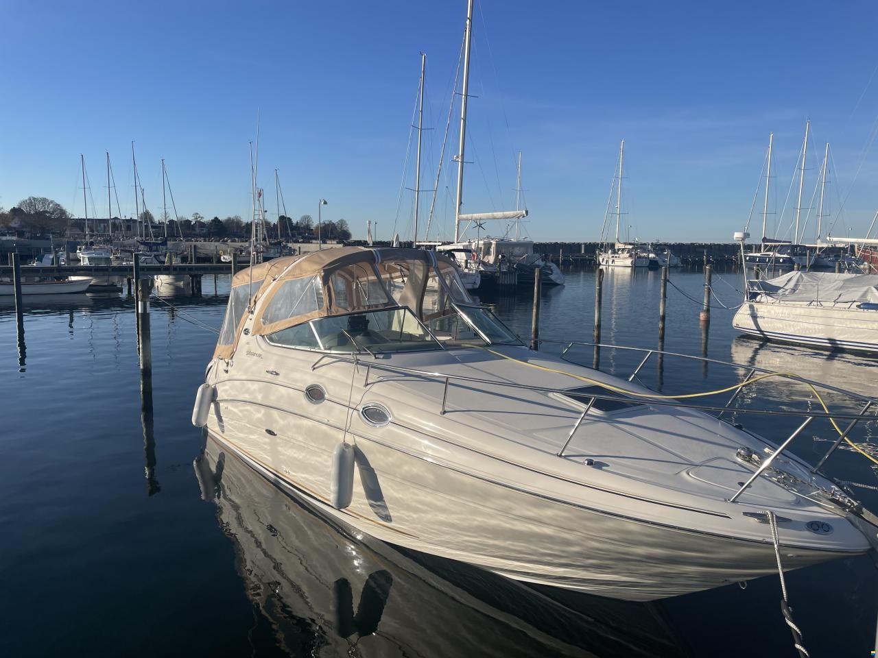 Sea Ray 280