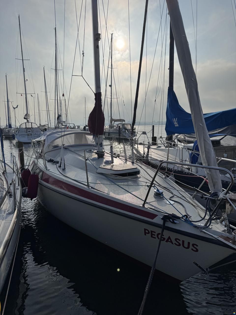 Maxi 84