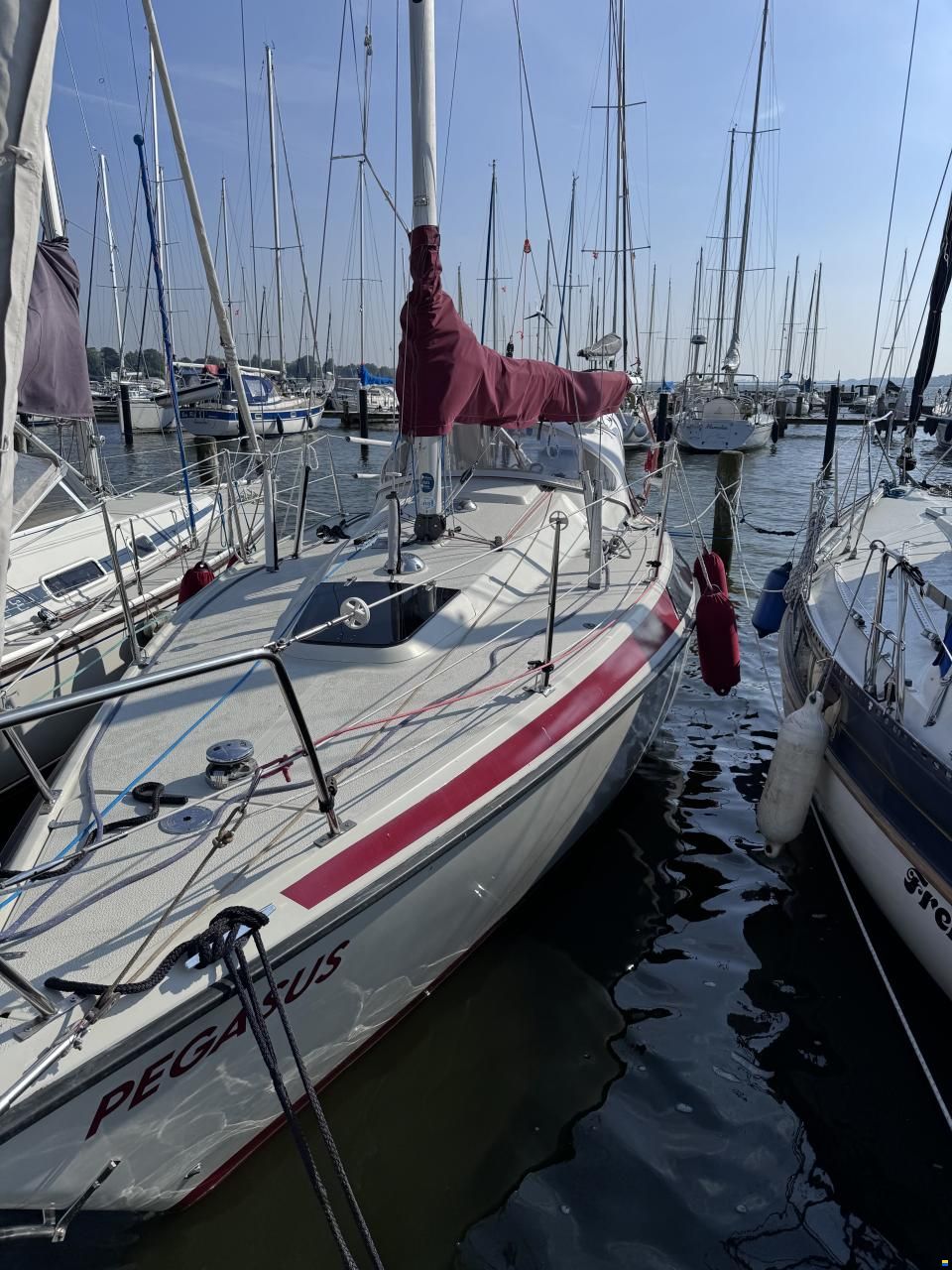 Maxi 84